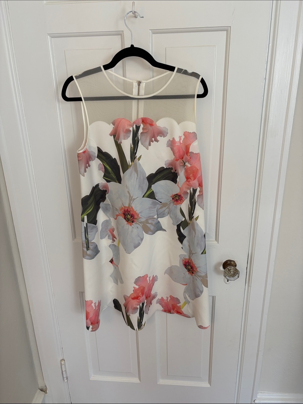 Ted Baker Cream and Blush Mesh Accent Dress